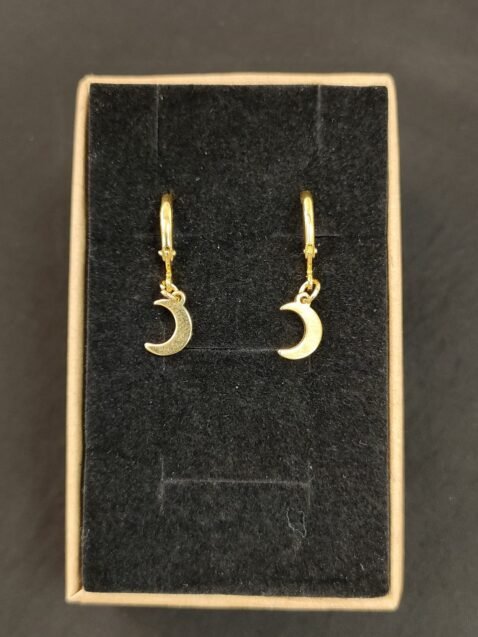 PENDIENTES LUNA CONCHA PI